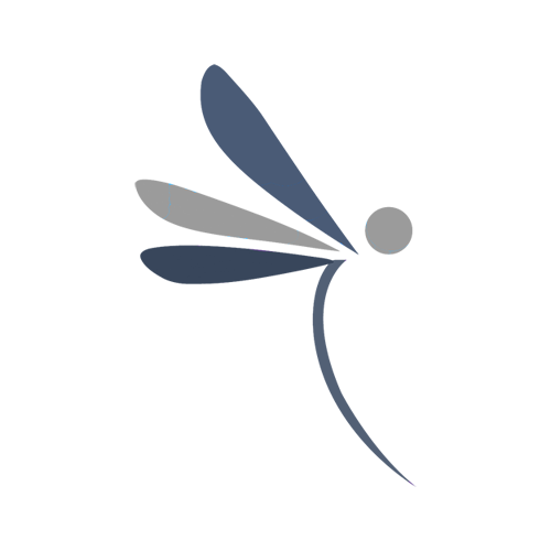 DragonflyIT.co.uk