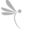 Dragonfly IT Ltd
